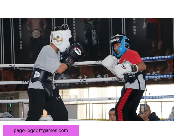 拳击世界纪录：挑战无极限，勇攀新高峰