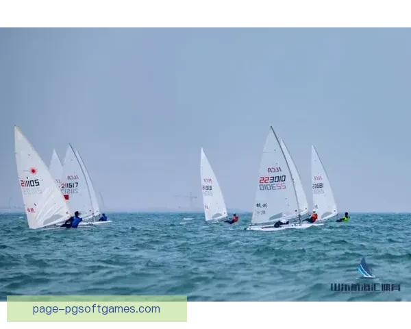帆船锦标赛：风帆翱翔，激情竞逐