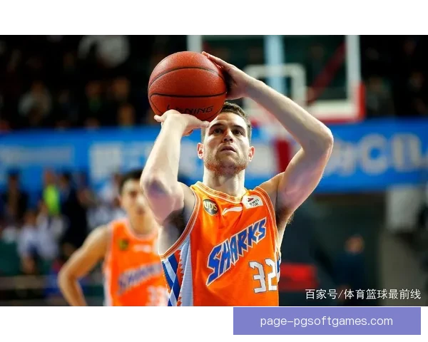 排球世界新势力巅峰对决：谁能登顶排行榜？