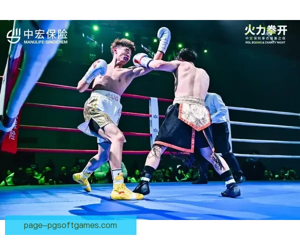 拳击赛事精彩纷呈，激情角逐为拳迷带来无尽乐趣
