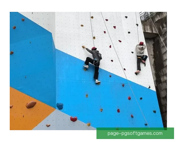 攀岩规则解读及常见技巧分享