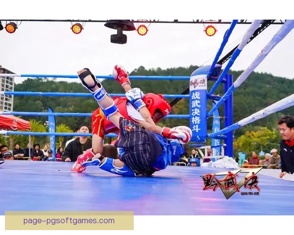 打磨技艺，搏击风云：散打之道