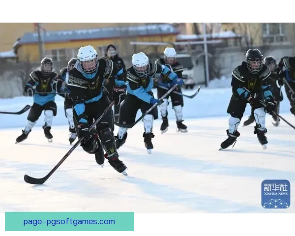 全面掌握冰球技术 精进训练方法