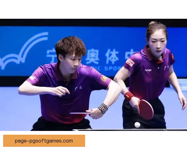 乒乓球实时比分，领略精彩对决