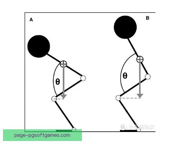 举重比赛数据分析：技术趋势与优化策略