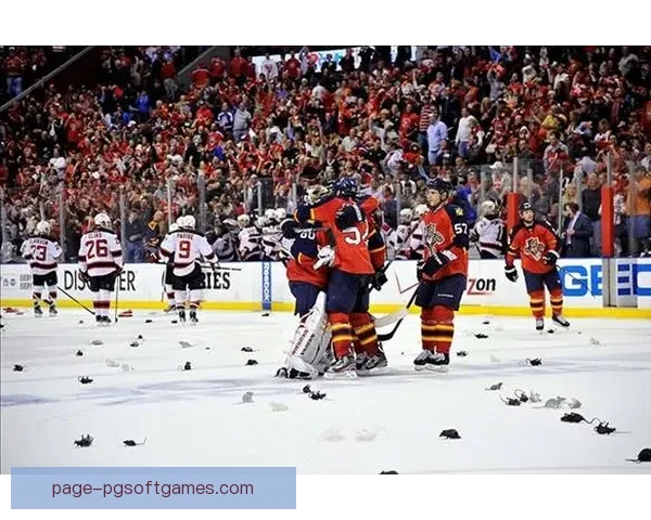 全面解读冰球排名榜单及背后故事