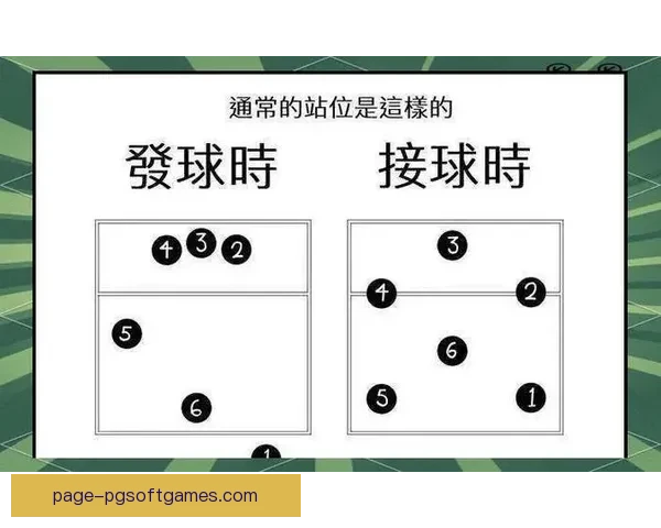 全面解析排球比赛的规则与技术要点