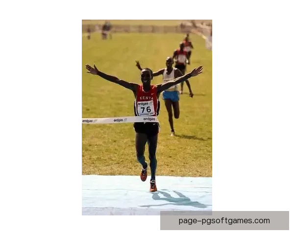 揭秘越野跑冠军的训练与比赛秘籍