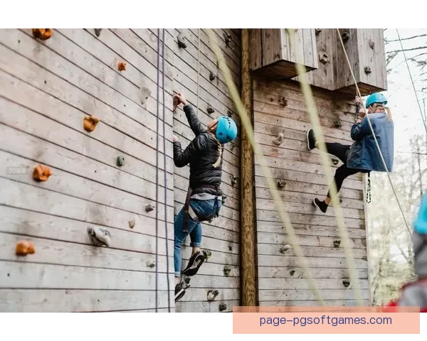 攀岩比赛实况：挑战高难度壁垒，角逐风云榜单