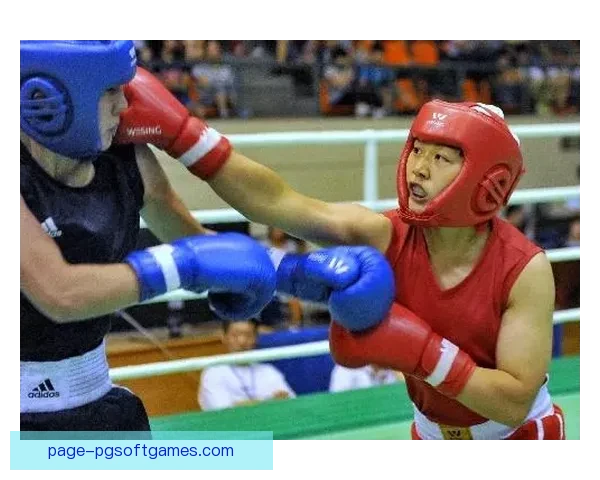 搏击风云：拳击联赛的辉煌之路