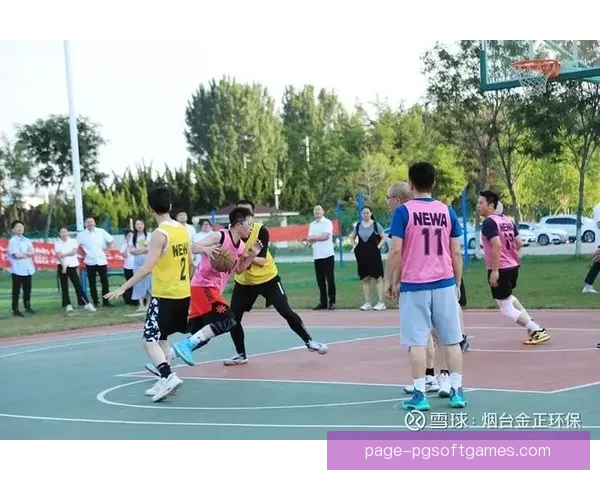 激情绽放,冠军之路 篮球巅峰对决 激情绽放,冠军之路 篮球巅峰对决