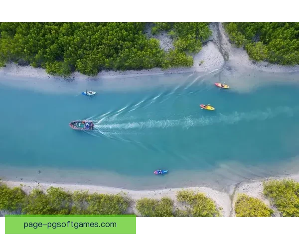 皮划艇：探寻古老的划船传统