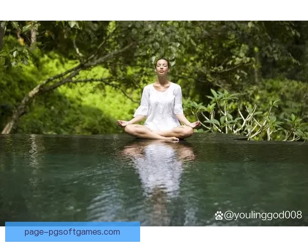 瑜伽杯赛：身心合一，开启健康生活