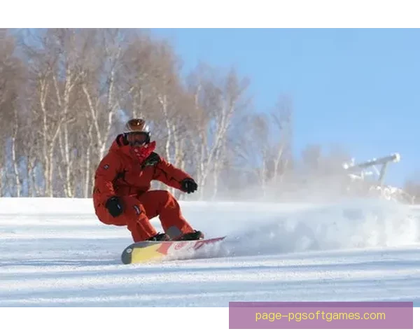 穿越冰雪的热情盛宴：滑雪公开赛的魅力