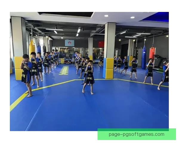 跆拳道大奖赛：搏击风云再起