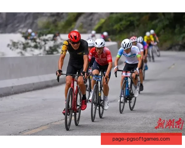 骑行风云：挑战极限的自行车赛事
